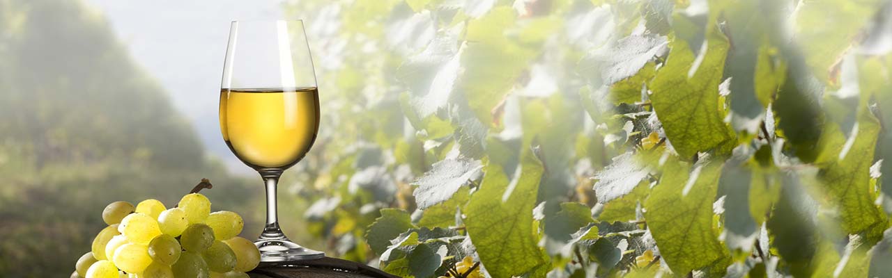 Farms in Sicily for food and wine holidays