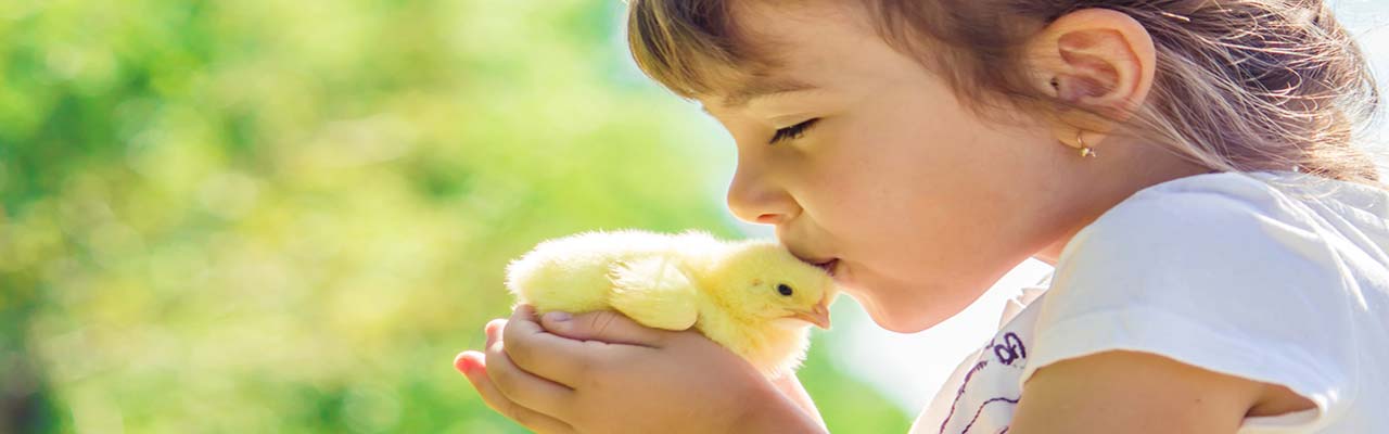 Farmhouse with animals for children