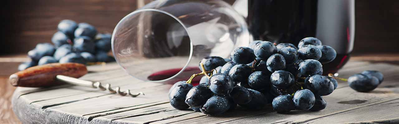 Farmhouses with wine-tasting in the Langhe region