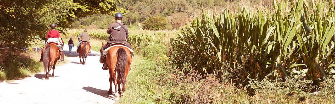 Farmhouse in Tuscany to dicover the Horse Trail