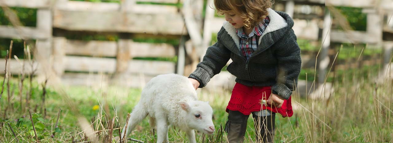 farmhouse for children