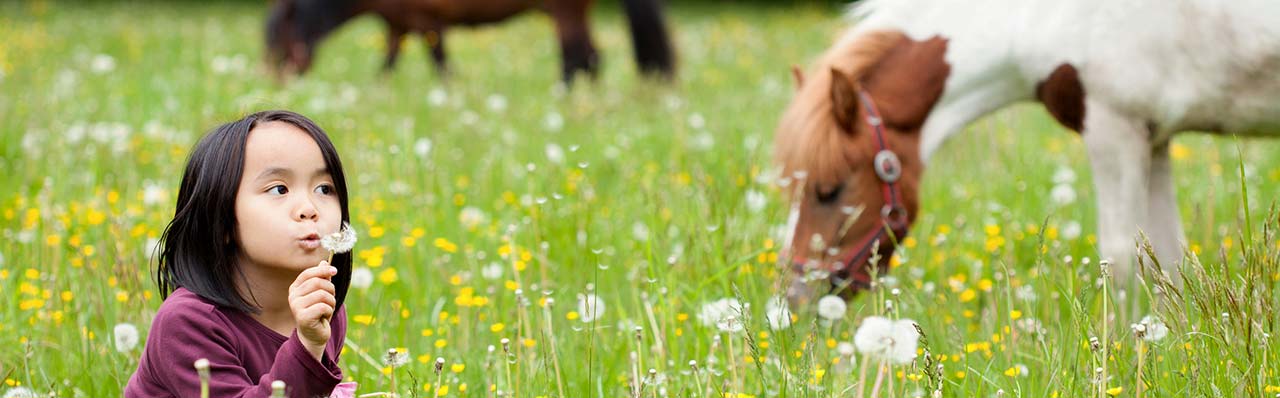 Agriturismo in Umbria with Educautional Farm