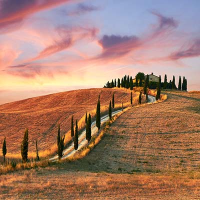 Stay in Tuscany in a real Farm
