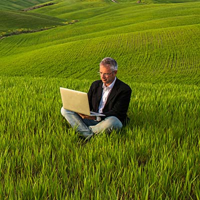 Working stay in Farmhouse