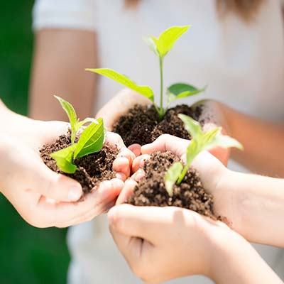 Holidays in organic farm in Tuscany