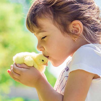 Family holidays: Farmhouse with animals for children