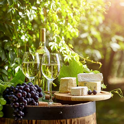 Holidays in a Farmhouse in Tuscany: the Wine Roads