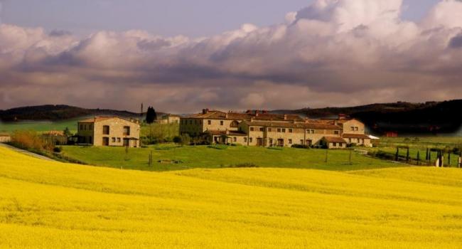 Apartments among sunflowers