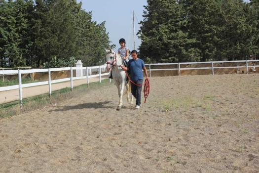 Horse Riding Center