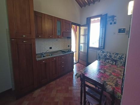 Apartments with swimming pool near Pisa - Papavero