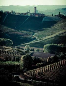 Wine tasting and surroundings