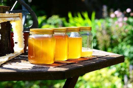 Produksjon og salg av honning pÃ¥ en gÃ¥rd i Toscana nÃ¦r Firenze