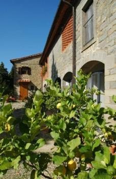 Apartmán Mezzo Casale (6 4)