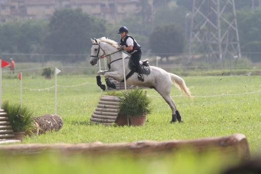 Farmhouse with riding centre in Tuscany near Siena