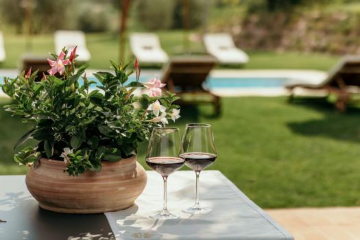 Dom letni: Wine Resort