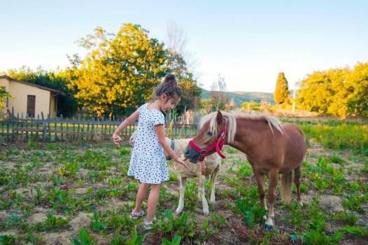 Dieren op de boerderij in de buurt van Arezzo