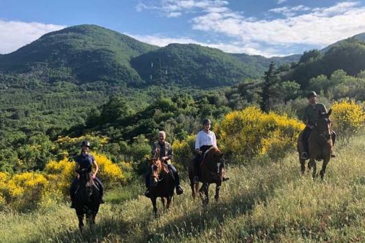 Centro Equestre