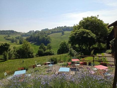 Organic Farmhouse with Restaurant in the Monferrato Hills