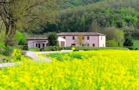 Ferme avec piscine en Ombrie