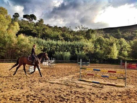 Fazenda com cavalos na Sicília