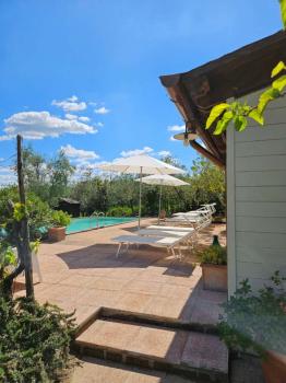 Delad pool