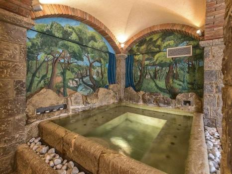 Wellness centrum