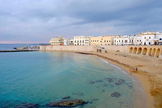 Attività e Dintorni