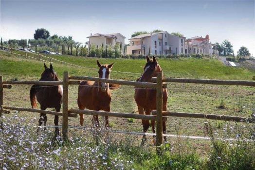 Boerderij met paarden in Toscane