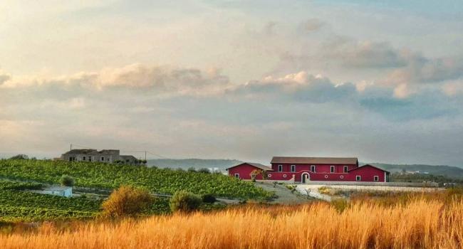 Bauernhaus mit Weingut in Meeresnähe