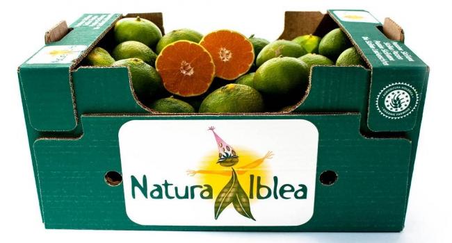 Farma organiczna