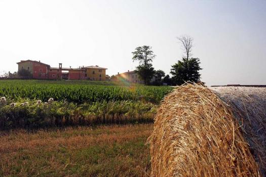 Fazenda educacional