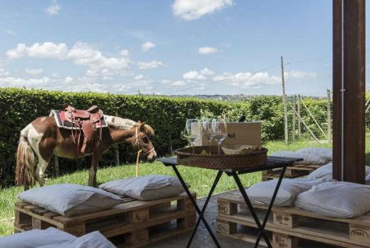 Farmhouse with animals in Abruzzo