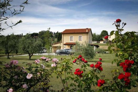 The Farm