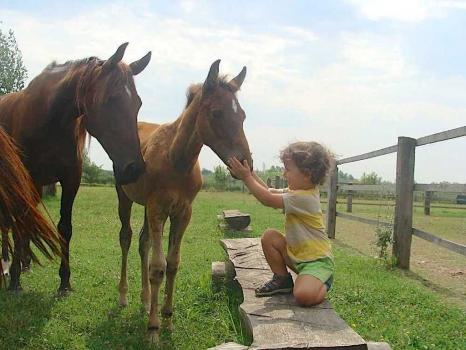 Eco-duurzame boerderij met paarden in Emilia Romagna