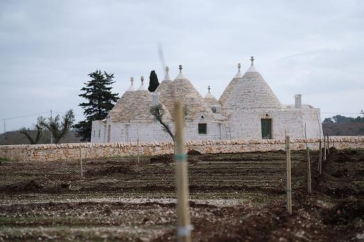 Hela egendomen: Agriturismo Tenuta Magaleppo