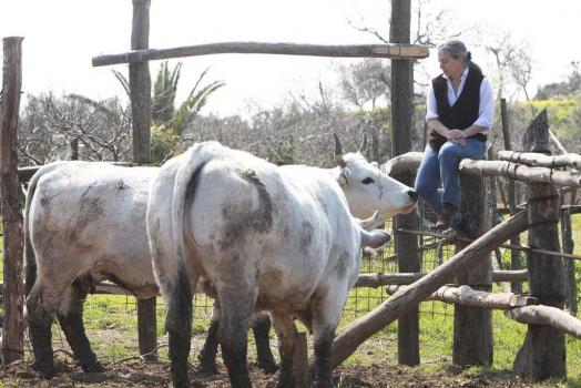 Descrição da casa de fazenda