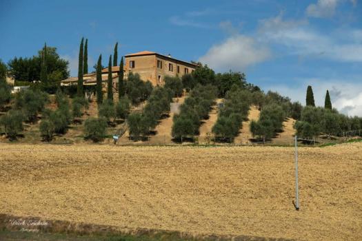 Farmhouse on the Tuscan hills in Montalcino