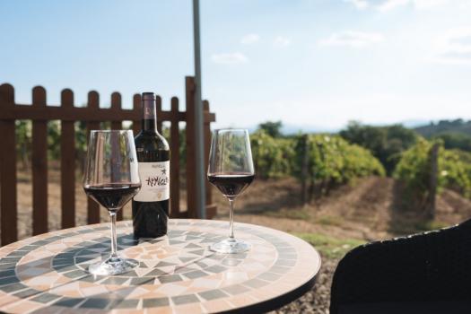 Degustazione vini e prodotti tipici in Agriturismo con piscina in Maremma