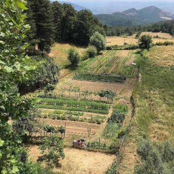 Ferme avec des produits biologiques en Toscane
