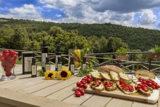 Tasting of our oil and bruschetta directly on the farm