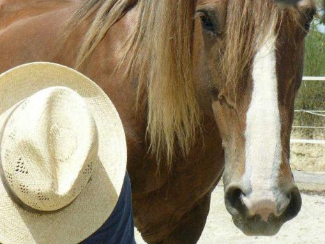 Attività da fare in agriturismo