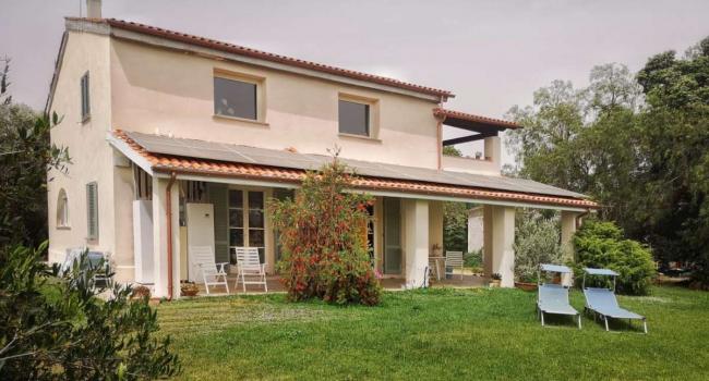 external view