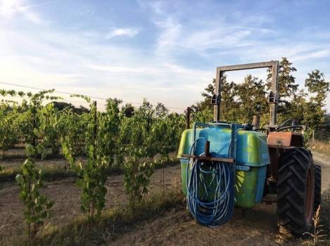 Casa de campo con producción y venta de vinos toscanos.