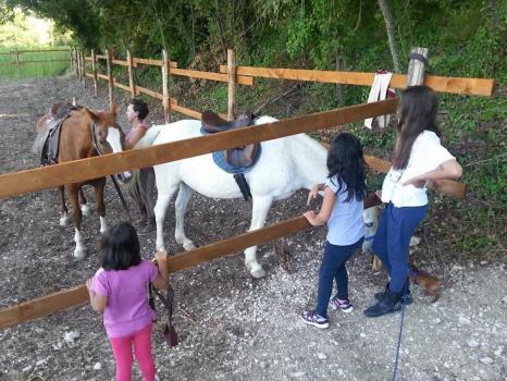 Agriturismo con animali nelle Marche