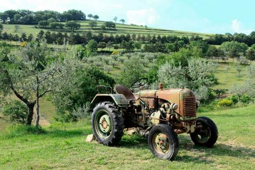 Rooms on a farm with animals in Umbria