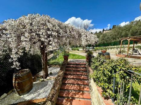 трехместный номер: Elisir