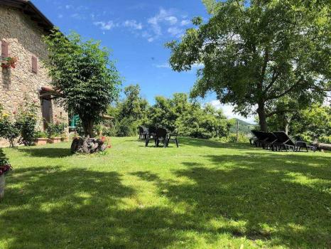 Tremannsrom: Fragola