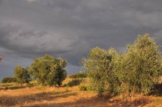 Farmhouse in the Tuscan Maremma