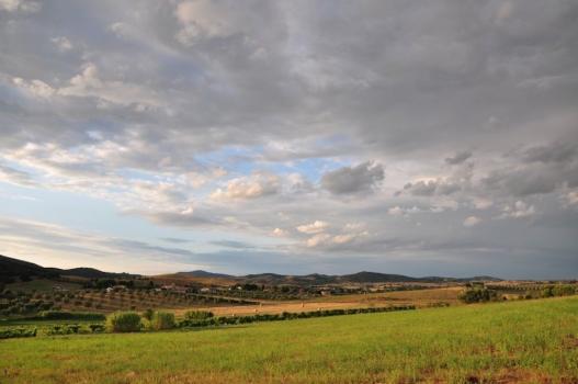 Konyha Apartman Campi
