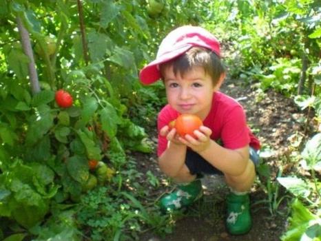 Fattoria didattica